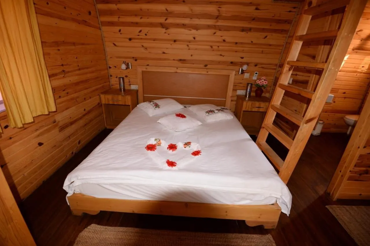 Bed and Breakfast Otantik Tas Ev Даламан 3*,